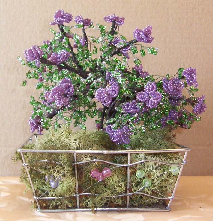 N°854 arbre grappe mauve pot carré violet