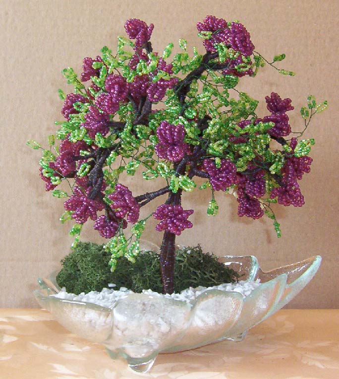 N°854 arbre grappe mauve pot carré violet
